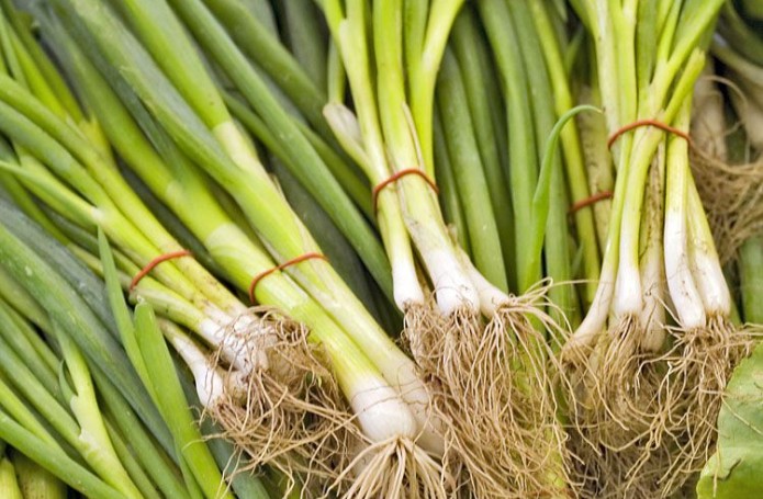 Calçots