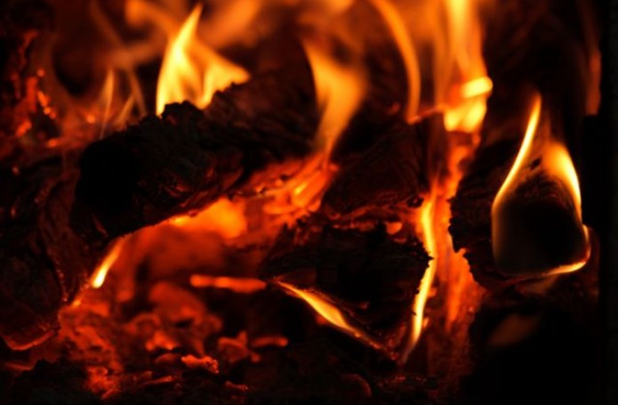 Foc