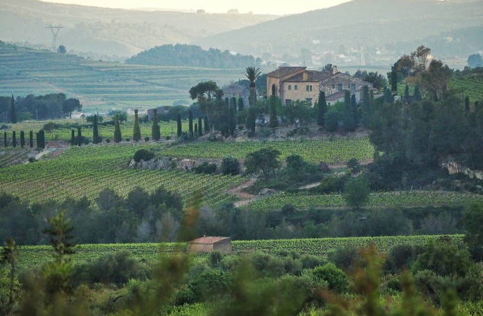 D.O. Penedès i D.O. Tarragona