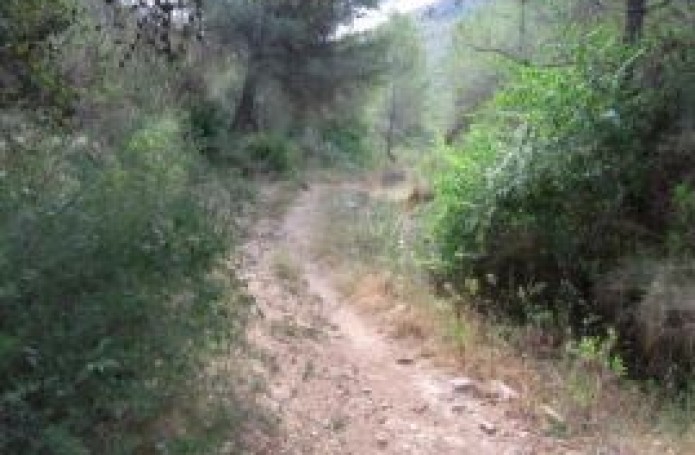 Ruta 3