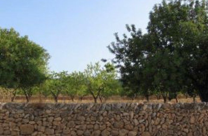 Ruta 5