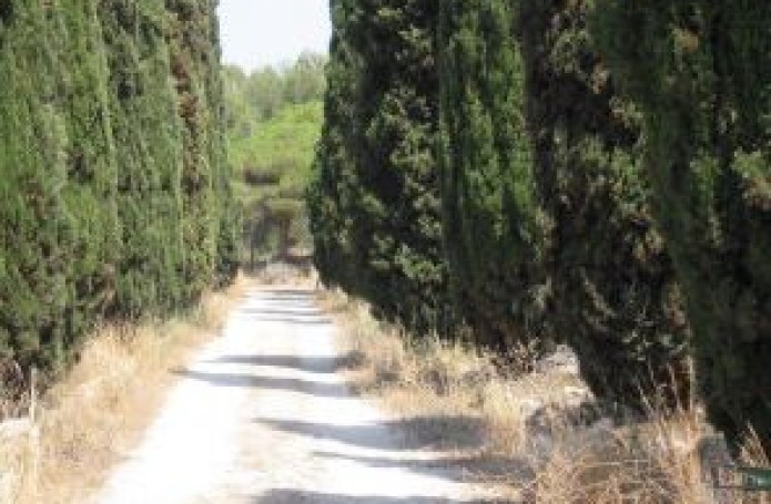 Ruta 6