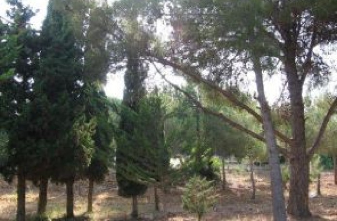 Ruta 6